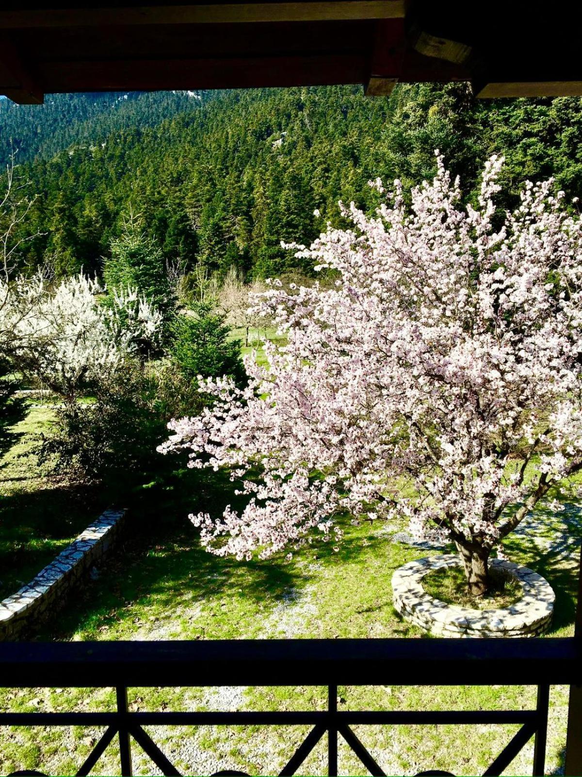 Alpine Escape Maisonette By Ski Alure Арахова Екстер'єр фото